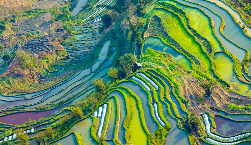 宝妈必备神器：旺苍县产品视频拍摄轻松育儿好帮手