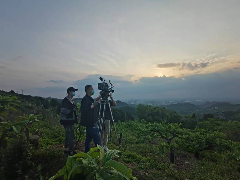 创意破圈！旺苍县电商产品宣传视频用故事化叙事引爆流量