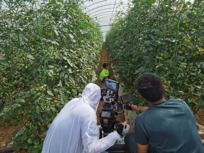 旺苍县产品宣传视频拍摄公司进阶指南，助力品牌抢占传播高地